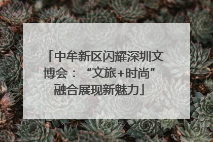 中牟新区闪耀深圳文博会：“文旅+时尚”融合展现新魅力