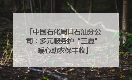 中国石化周口石油分公司：多元服务护“三夏” 暖心助农保丰收