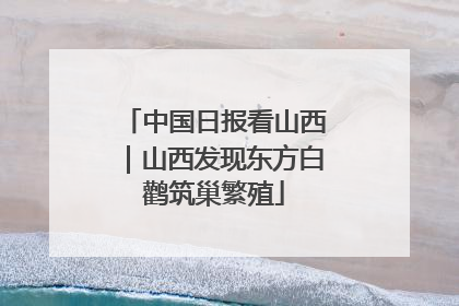 中国日报看山西｜山西发现东方白鹳筑巢繁殖