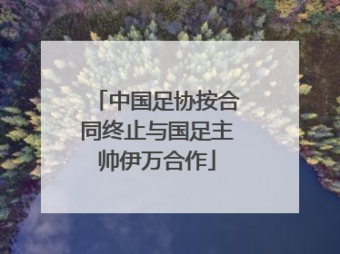 中国足协按合同终止与国足主帅伊万合作