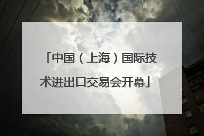 中国（上海）国际技术进出口交易会开幕
