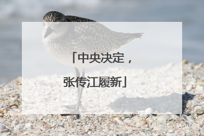 中央决定，张传江履新