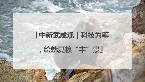 中新武威观｜科技为笔，绘就夏粮“丰”景