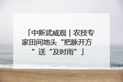 中新武威观｜农技专家田间地头“把脉开方”送“及时雨”
