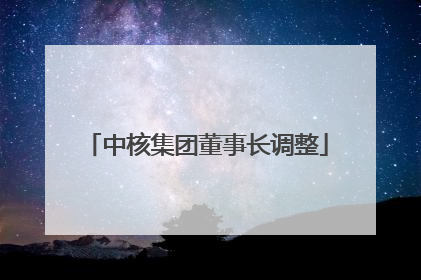 中核集团董事长调整