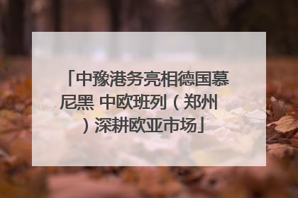 中豫港务亮相德国慕尼黑 中欧班列（郑州）深耕欧亚市场