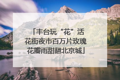 丰台玩“花”活 花街夜市百万片玫瑰花瓣雨甜翻北京城