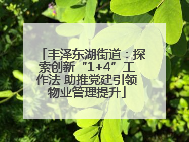 丰泽东湖街道：探索创新“1+4”工作法 助推党建引领物业管理提升