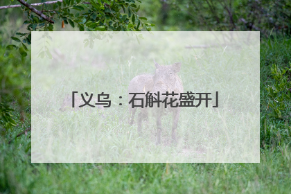 义乌：石斛花盛开