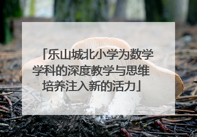 乐山城北小学为数学学科的深度教学与思维培养注入新的活力