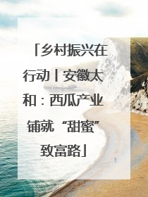 乡村振兴在行动丨安徽太和：西瓜产业铺就“甜蜜”致富路