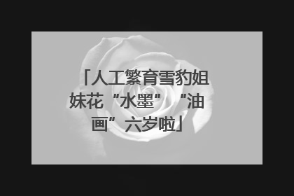 人工繁育雪豹姐妹花“水墨”“油画”六岁啦
