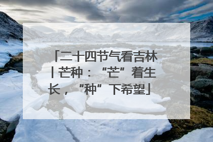 二十四节气看吉林丨芒种：“芒”着生长，“种”下希望