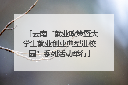 云南“就业政策暨大学生就业创业典型进校园”系列活动举行