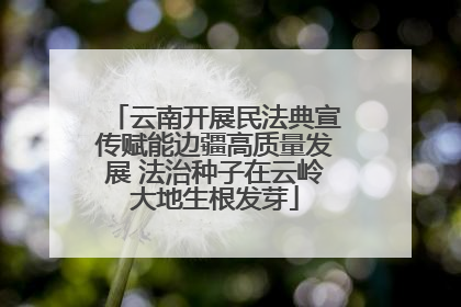 云南开展民法典宣传赋能边疆高质量发展 法治种子在云岭大地生根发芽