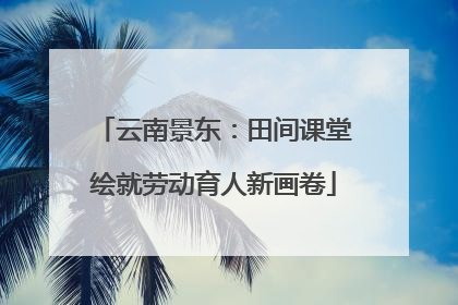 云南景东：田间课堂绘就劳动育人新画卷