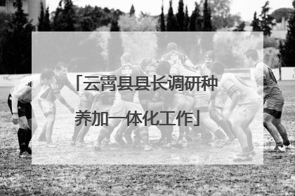 云霄县县长调研种养加一体化工作
