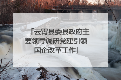 云霄县委县政府主要领导调研党建引领国企改革工作