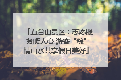 五台山景区：志愿服务暖人心 游客“粽”情山水共享假日美好