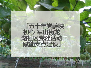 五十年党龄映初心 军山街龙湖社区党建活动赋能支点建设