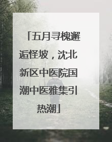 五月寻槐邂逅怪坡，沈北新区中医院国潮中医雅集引热潮