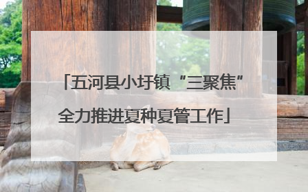 五河县小圩镇“三聚焦”全力推进夏种夏管工作