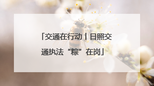 交通在行动丨日照交通执法“粽”在岗