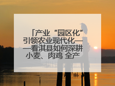 产业“园区化”引领农业现代化——看淇县如何深耕小麦、肉鸡 全产业链打造现代农业产业园