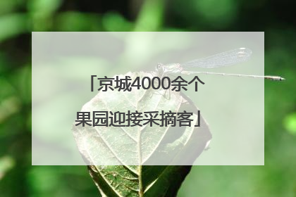 京城4000余个果园迎接采摘客
