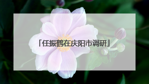 任振鹤在庆阳市调研