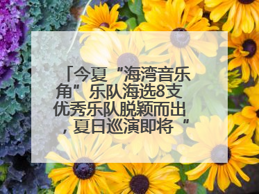 今夏“海湾音乐角”乐队海选8支优秀乐队脱颖而出，夏日巡演即将“乐动”青岛市南