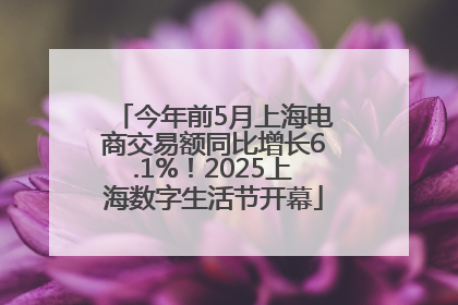 今年前5月上海电商交易额同比增长6.1%！2025上海数字生活节开幕