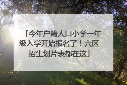 今年户籍人口小学一年级入学开始报名了！六区招生划片表都在这