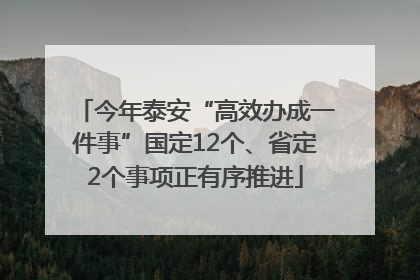 今年泰安“高效办成一件事”国定12个、省定2个事项正有序推进