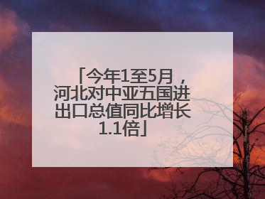 今年1至5月，河北对中亚五国进出口总值同比增长1.1倍