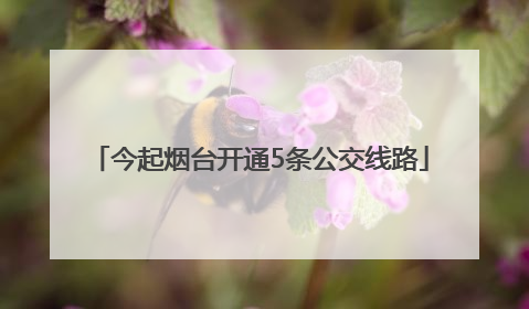 今起烟台开通5条公交线路