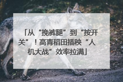 从“挽裤腿”到“按开关”！高青稻田插秧“人机大战”效率拉满