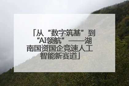 从“数字筑基”到“AI领航”——湖南国资国企竞速人工智能新赛道