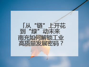 从“链”上开花到“绿”动未来 南充如何解锁工业高质量发展密码？丨市州焕新力