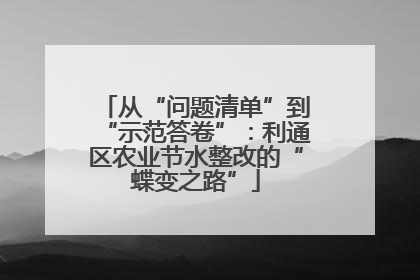 从“问题清单”到“示范答卷”：利通区农业节水整改的“蝶变之路”
