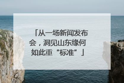 从一场新闻发布会，洞见山东缘何如此重“标准”