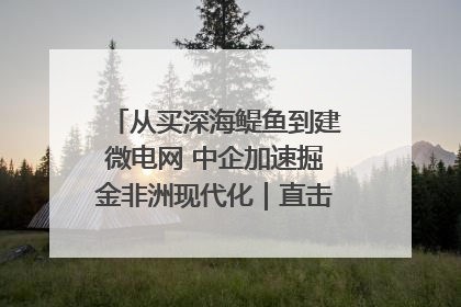 从买深海鳀鱼到建微电网 中企加速掘金非洲现代化｜直击中非经贸博览会