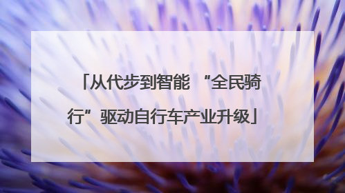 从代步到智能 “全民骑行”驱动自行车产业升级