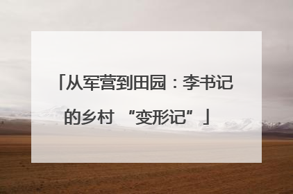 从军营到田园：李书记的乡村 “变形记”