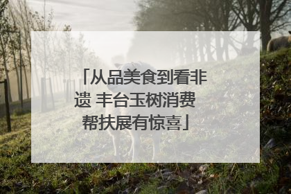 从品美食到看非遗 丰台玉树消费帮扶展有惊喜