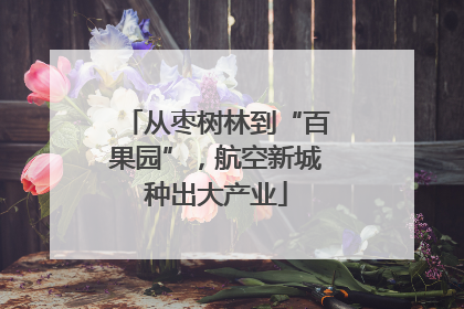 从枣树林到“百果园”，航空新城种出大产业