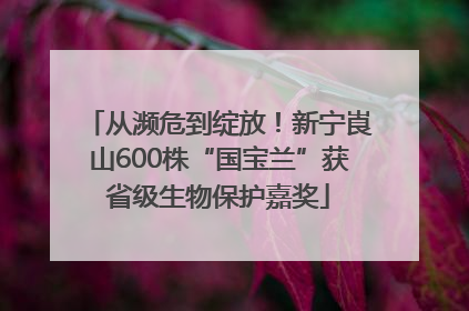 从濒危到绽放！新宁崀山600株“国宝兰”获省级生物保护嘉奖