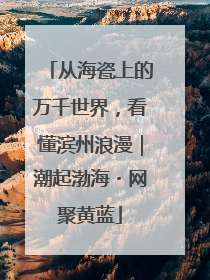 从海瓷上的万千世界，看懂滨州浪漫｜潮起渤海・网聚黄蓝