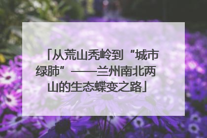 从荒山秃岭到“城市绿肺”——兰州南北两山的生态蝶变之路
