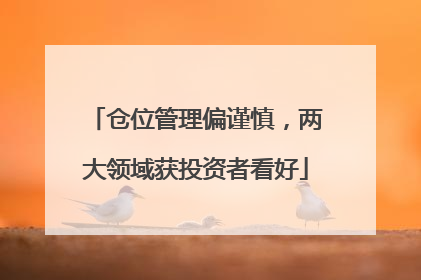 仓位管理偏谨慎，两大领域获投资者看好